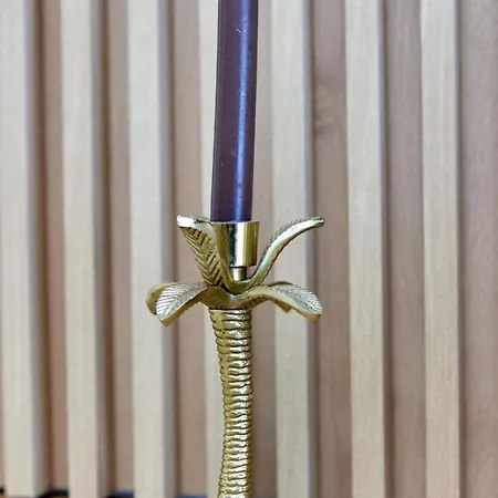 Elite Beachfront By Casa Del Mar